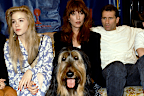 <p>Amanda Bearse (left), for her part, has spoken about her time on the show several times since it wrapped, telling <a href="https://pagesix.com/2022/10/01/married-with-children-star-admits-it-was-a-very-misogynist-show/" title="Page Six" target="_blank" rel=""><em>Page Six</em></a> in 2022 she remains "very grateful for that show for many reasons, mostly because it gave me my second career [being a director]."</p><p>Speaking with ﻿<a href="https://www.fayobserver.com/story/entertainment/theater/2020/03/21/qa-with-married--with-children-actress-amanda-bearse-who-had-been-scheduled-to-perform-in-pinehurst/41789457/" title="The Fayetteville Observer" target="_blank" rel=""><em>The Fayetteville Observer</em></a> in 2020, Bearse said "towards the end it wasn't as pleasant" behind-the-scenes for her.</p><p>"You spend that much time with anyone, you're going to have good days and bad days," Bearse said at the time.</p><p>She added: "And that's kind of why the show ended up kind of petering away, just because there was some discord."﻿</p>