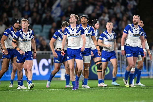 Canterbury Bulldogs react after the Sharks scored a try.