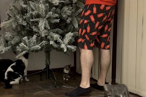 jo abi partner Christmas tree skirts