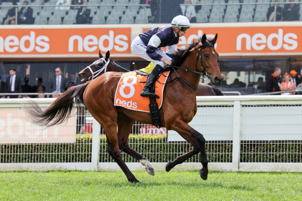 Point Nepean has been scratched from the 2022 Melbourne Cup.