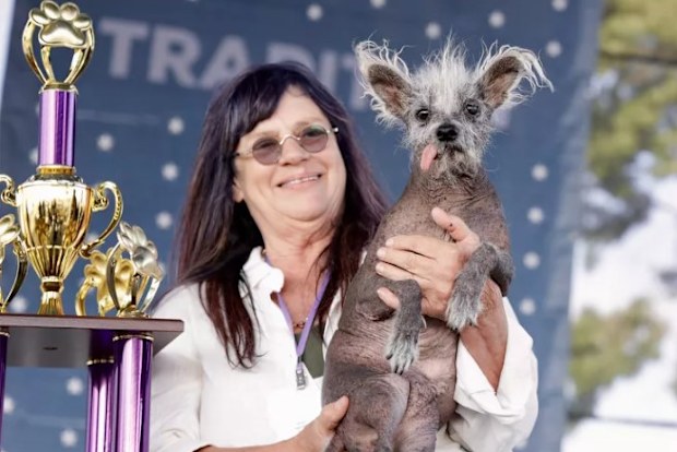 Scooter took out this year's crown.