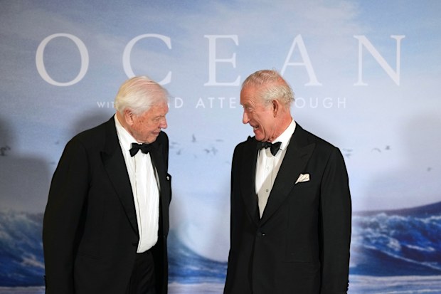 King Charles III, David Attenborough 