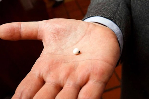 The occurrence of natural pearls in oysters is not well understood, but anecdotally it has been estimated at one in 10,000
