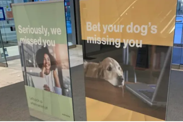 'Tone deaf' office puts up signs saying 'bet your dog misses you' to returning workers