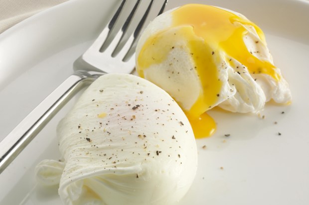 Poached eggs