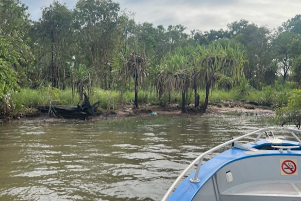 Human remains have been found inside a crocodile during the search for a 60-year-old man missing from Far North Queensland. 