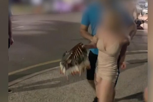A woman is taken from the scene after a brawl in Darwin.