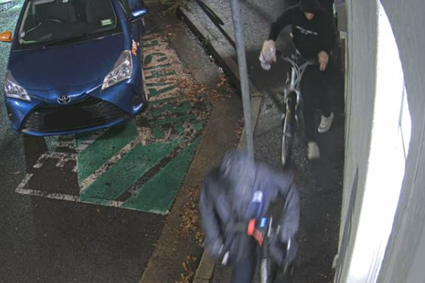 Police have released CCTV images after offensive graffiti was sprayed on a synagogue in Sydney's Inner West