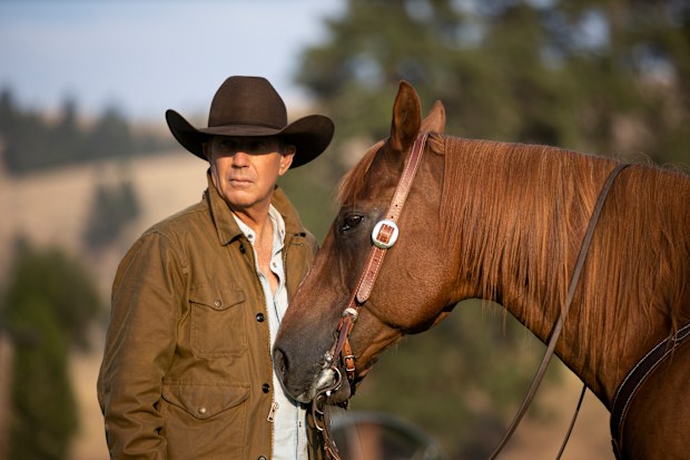 Yellowstone, Stan
