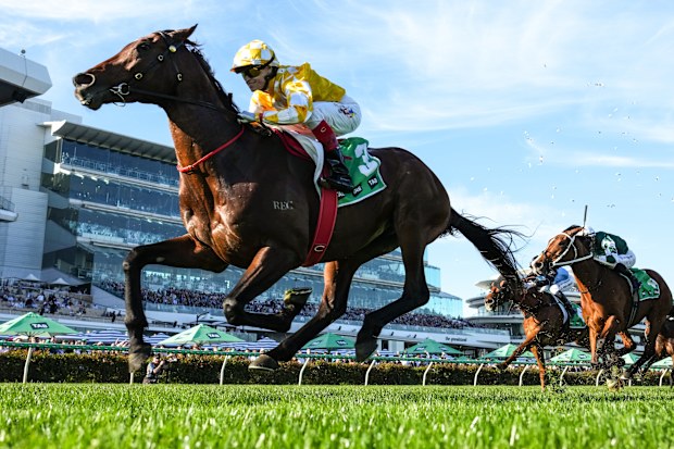 Sir Delius, 2025 Turnbull Stakes'te aksiyondayken.