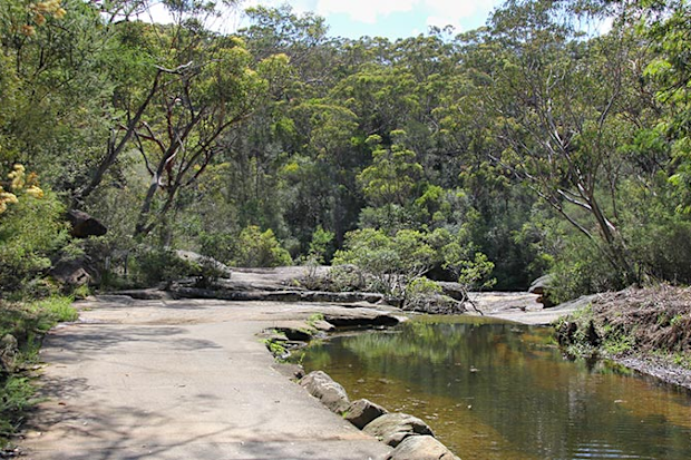 Garigal national park