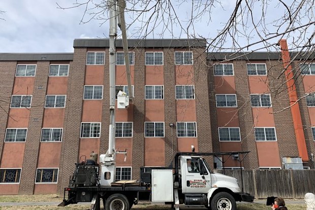 Nick was launched into the air to see his wife on a cherry picker with the help of his son Chris.
