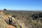<p>T﻿he trail has great views back to the CBD, and is particularly beautiful in winter and spring when wildflowers are in bloom.</p>