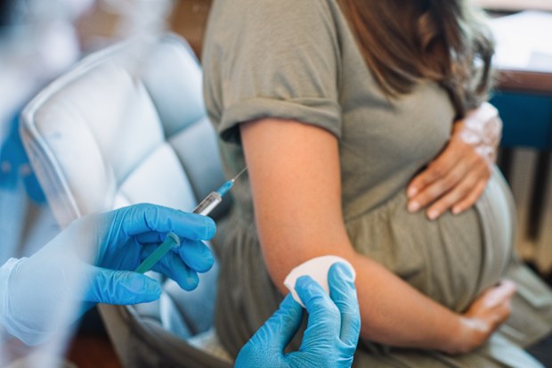 Pregnant woman getting vaccine at home. COVID-19 vaccination concept.