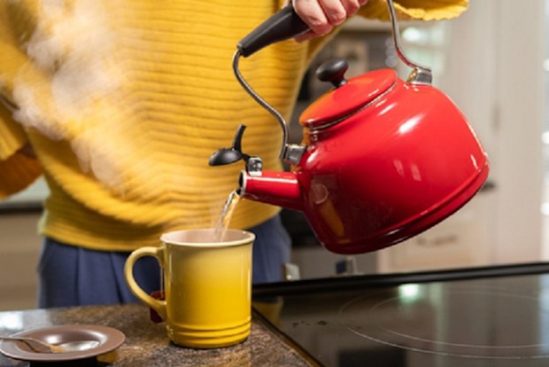 correct way to make tea controversial inclusion