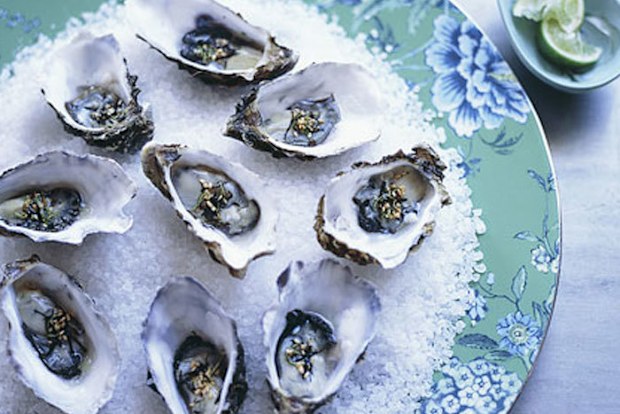 Oysters with wasabi nori and lime dressing