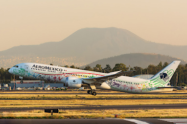 15. AeroMexico