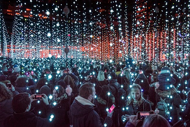 Illuminate adelaide festival
