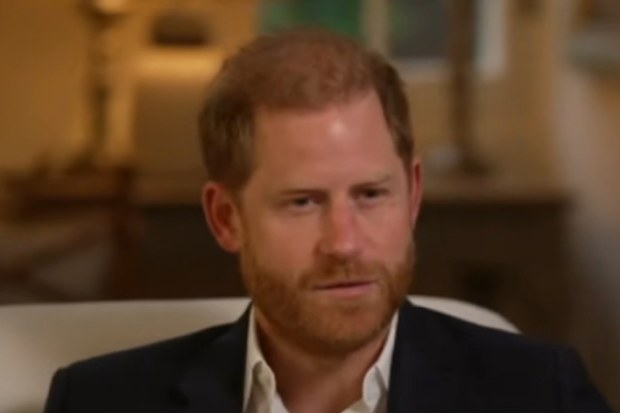 prince harry bbc interview