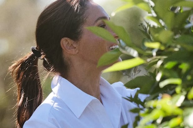 meghan as ever post about next step for lifestyle brand