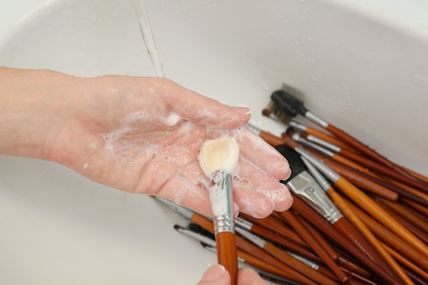 Makeup brushes