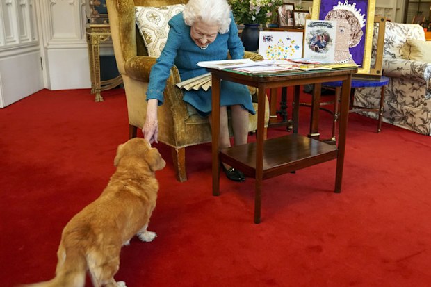 Queen Elizabeth with her dorgi, Candy.