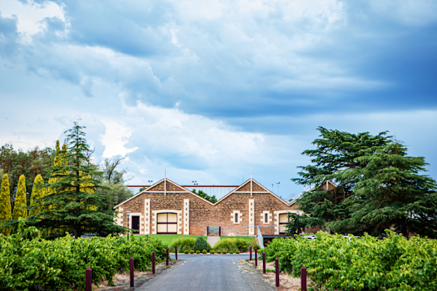 Wynns Coonawarra