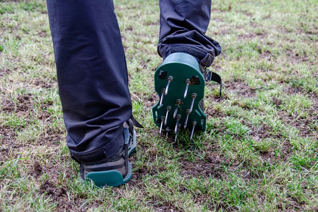 Close-up of lawn aeration shoe with metal spikes. Process of soil scarification. Legs of a man in black pants. Green grass all around.