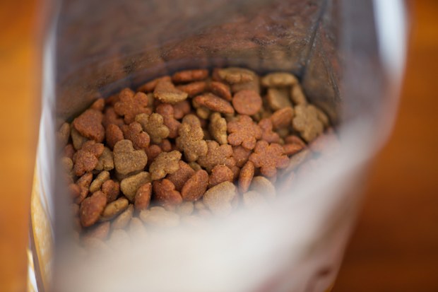 Cat food in the bag.
