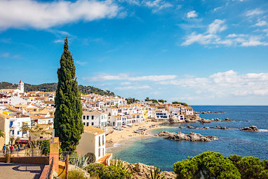 8. Spain
