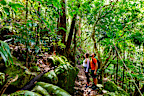 <p>T﻿he Gold Coast hinterland is just a short drive away as well, with endless hiking, cycling, and rock climbing opportunities.</p>
