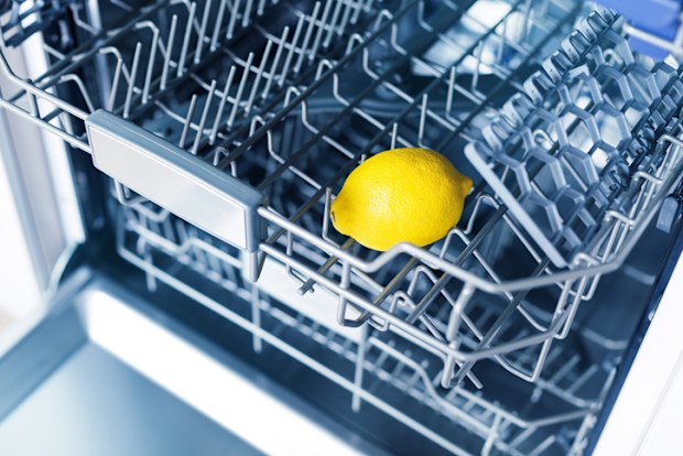 Empty dishwasher with fresh yellow lemon on shelf, aroma freshness care concept, clean equipment,  home appliance dishwashing machine in kitchen interior, no people