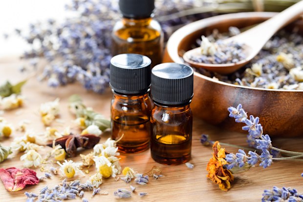 dried herbs with essential oils using lavender and chamomile