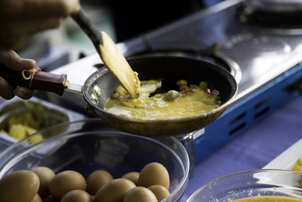 "Omelet, canon 1Ds mark III"