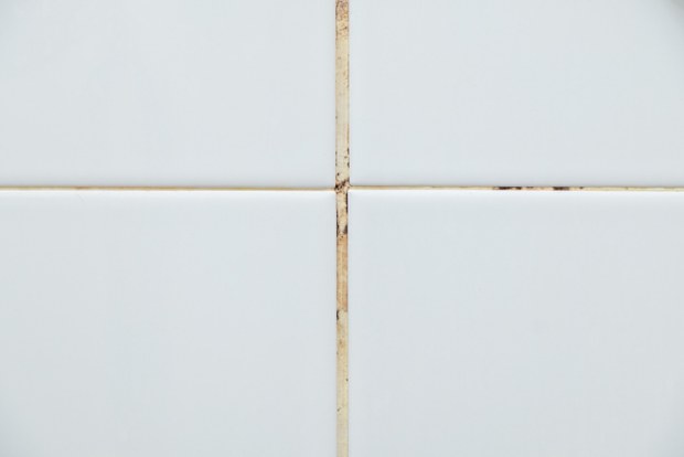 Closeup of the fungus stains on the white grout on the white wall tile in the bathroom, long time to use in the city house, front view with the copy space.