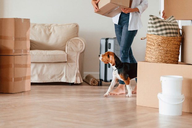 Walking forward with boxes. Young couple with dog are moving to new home.