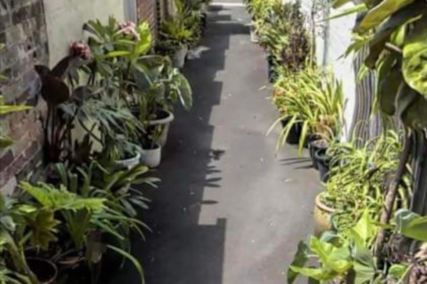 Woollahra council has ordered residents to remove their community garden