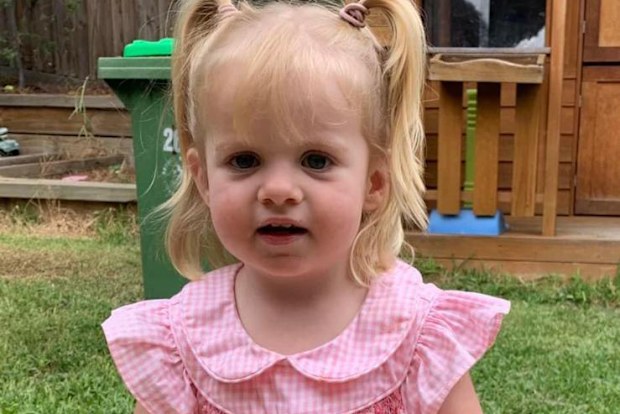 Willow before her cancer diagnosis.