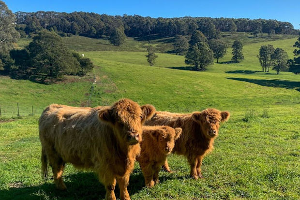 Kenzell Farm