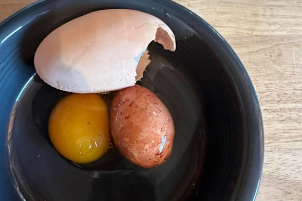 egg discovery inside unusually large egg shared on facebook backyardchickens