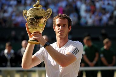 Last year's Wimbledon final reportedly cost some crazy punters $154,000. (AAP)