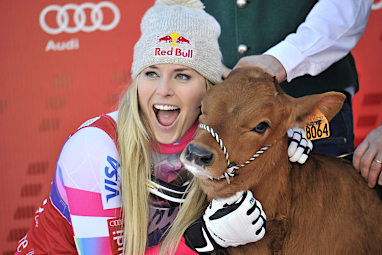 Olympe now lives in Austria where she gave birth to two calves. (Getty)