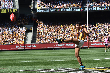 The MCG enjoyed an absolute masterclass from North Smith Medallist Cyril Rioli.