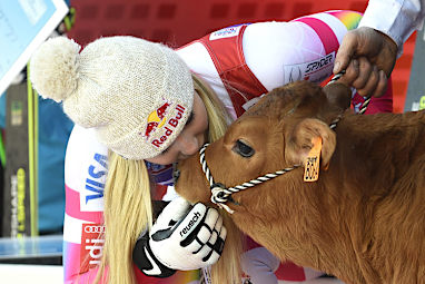 This is not the first time she has won a cow in competition. (Getty)