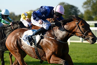 The Offer (Damien Oliver/Gai Waterhouse) Barrier 13. 54kg. Win/place: $35/$9.50.