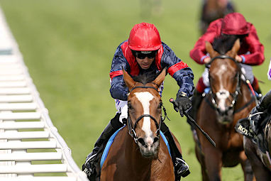 Trip To Paris (Tommy Berry/Ed Dunlop) Barrier 14. 55kg. Win/place: $7.50/$2.62.