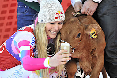 It's reported that Vonn is the owner of a six-cow herd in Austria. (Getty)