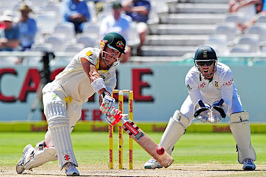 David Warner - Devastating opener who scores at will.