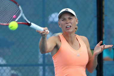 Wozniacki became the world's number one female tennis player.