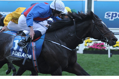 <b> Australasia's weight-for-age classic, the Cox Plate, has once again drawn a who’s who of the horse racing and fashion fraternity to Moonee Valley. </b><br/><br/>Widely renowned as the best horse race in the country, the Cox Plate attracts a star-studded line-up that offers plenty of on, and off the track action.<br/><br/>While Irish galloper Adelaide stole the headlines with its Cox Plate victory, there was no shortage of colour and good times trackside for punters and celebrities, with a plethora of big names including Shane Warne enjoying the day.<br/>